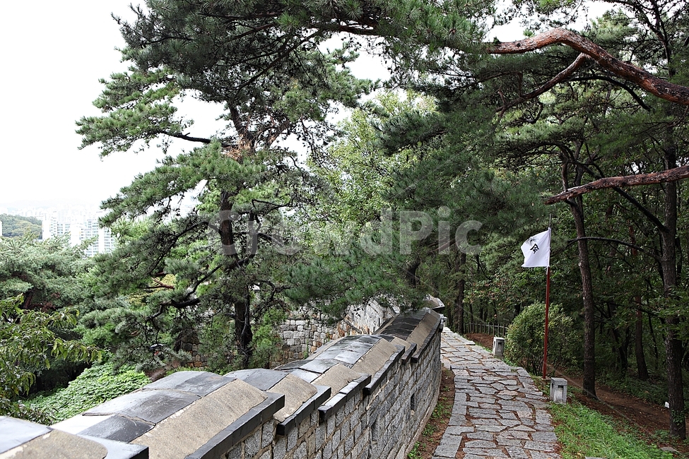 수원화성,성,성곽,길,둘레길,담,돌담,가을,자연,풍경,벽,방어벽,전통,흙담,식물,한국전통,한국문화,korean traditional,korean culture