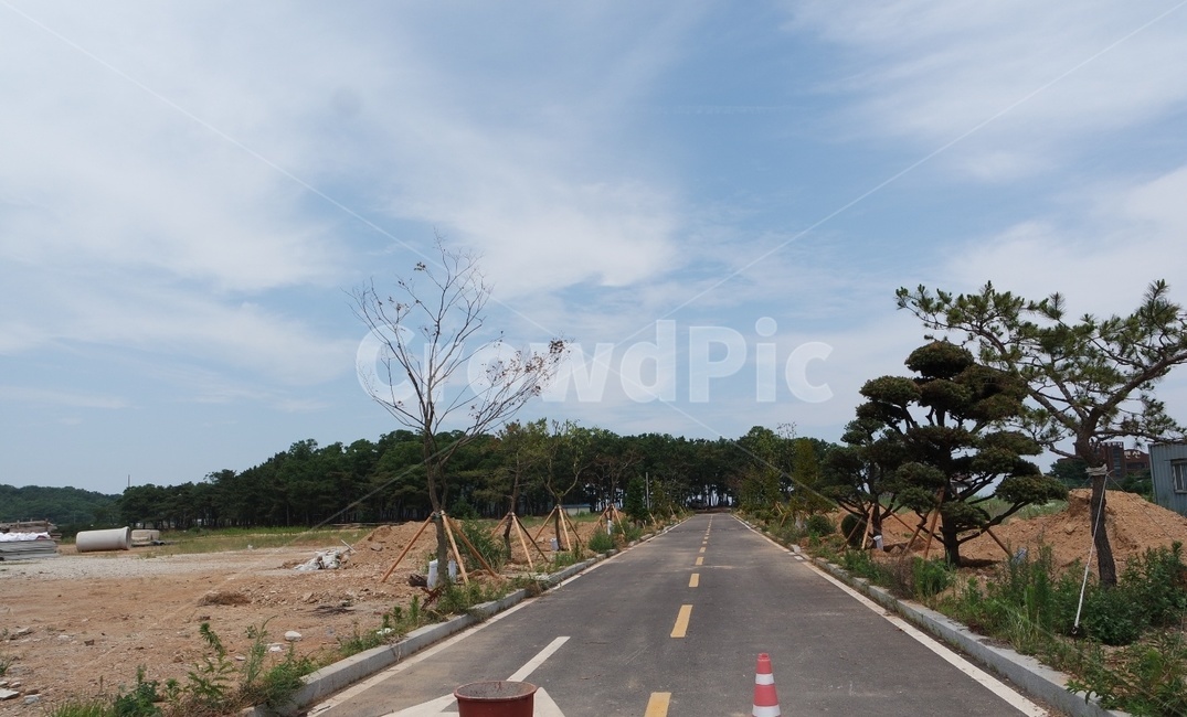 하늘,도로,구름,산,나무,road,sky