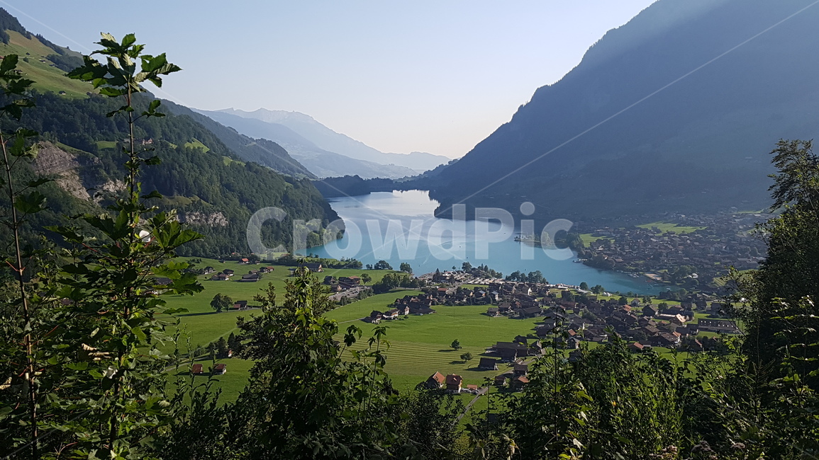 스위스,호수,자연,풍경,switzerland