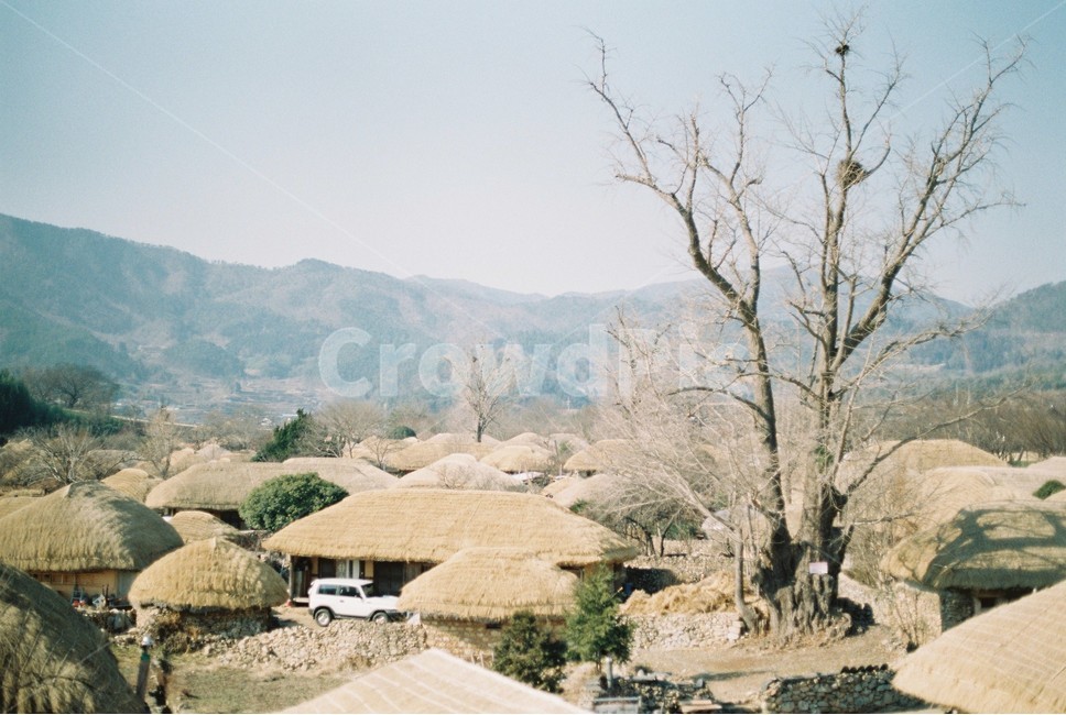 낙안읍성,민속마을,조선,초가집,필름카메라,film,순천,낙안,성곽,마을,oldtown,old,시골,마을,풍경,landscape,country,rural,town,한국전통,한국문화,korean traditional,korean culture