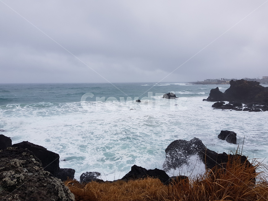 태풍,바람,제주도,거친,파도