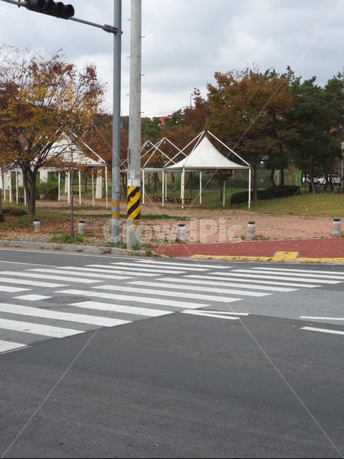 아스팔트,asphalt,도로,road,공윈