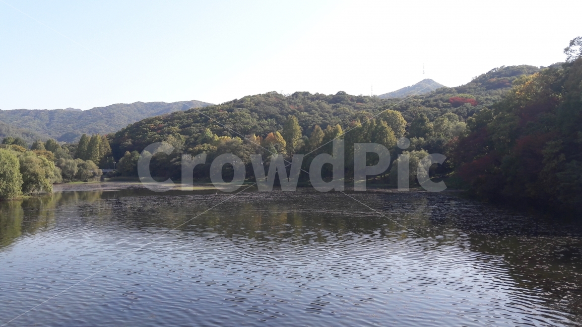 호수,대공원,단풍,나무,바람,자연,풍경,nature,landscape,한국자연풍경,한국자연경관,korea nature landscape,water,물,outdoors,옥외,lake