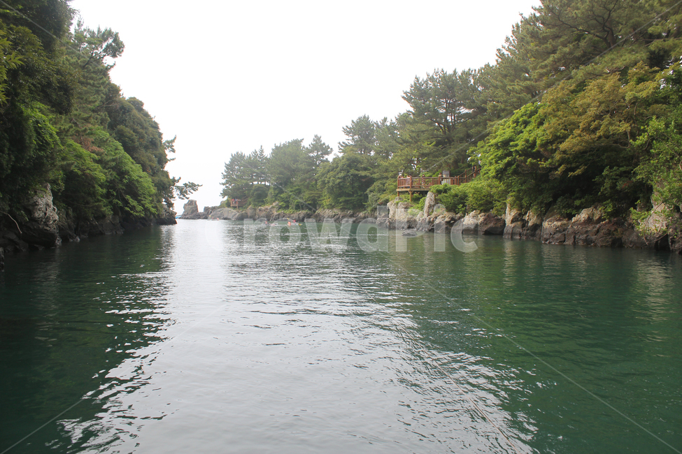 한국,아시아,제주도,쇠소깍,관광지,나무,숲,그린,녹색,절벽,산,섬,돌,바위,강,강줄기,강물,강가,물길,물,냇가,냇물,호수,반영,자연,제주,숲속,암벽