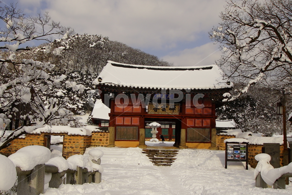 선운사,고창,설경,사찰,풍경,겨울,계절,winter,season,한국전통,한국문화,korean traditional,korean culture,종교,신앙,religion,belief,faith,건축물,건물외관,exterior,building,structure,architecture,construction