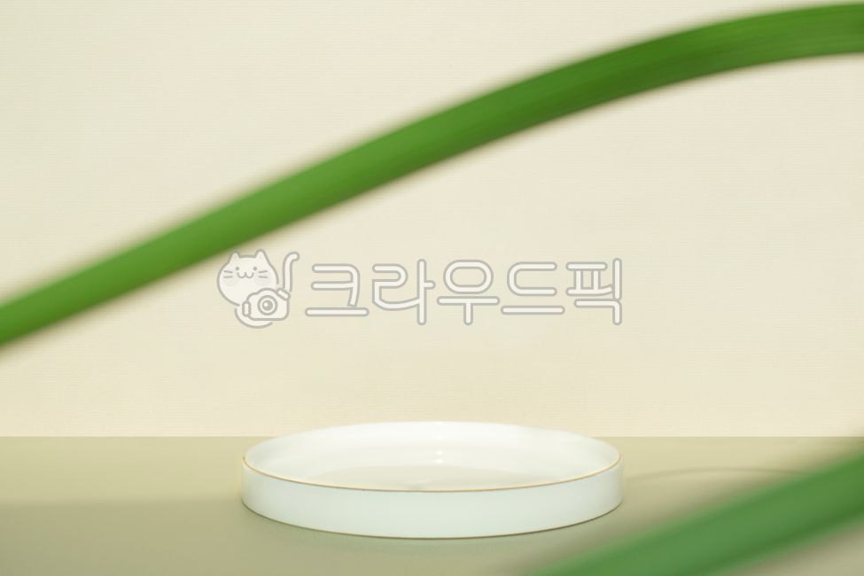 template,studio,pedestal,deco,shadow,concept,horizontal composition,plate,space,empty,presentation,interior decoration,award,leaves,plants,copy space,exhibition,ceramics,product,green,natural,business,nature,water stand,display,branches,Podium,stage,close