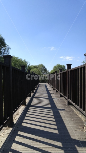 그림자,산책,다리,가을,풍경,자연,풍경,nature,landscape,handrail,난간,banister,railing