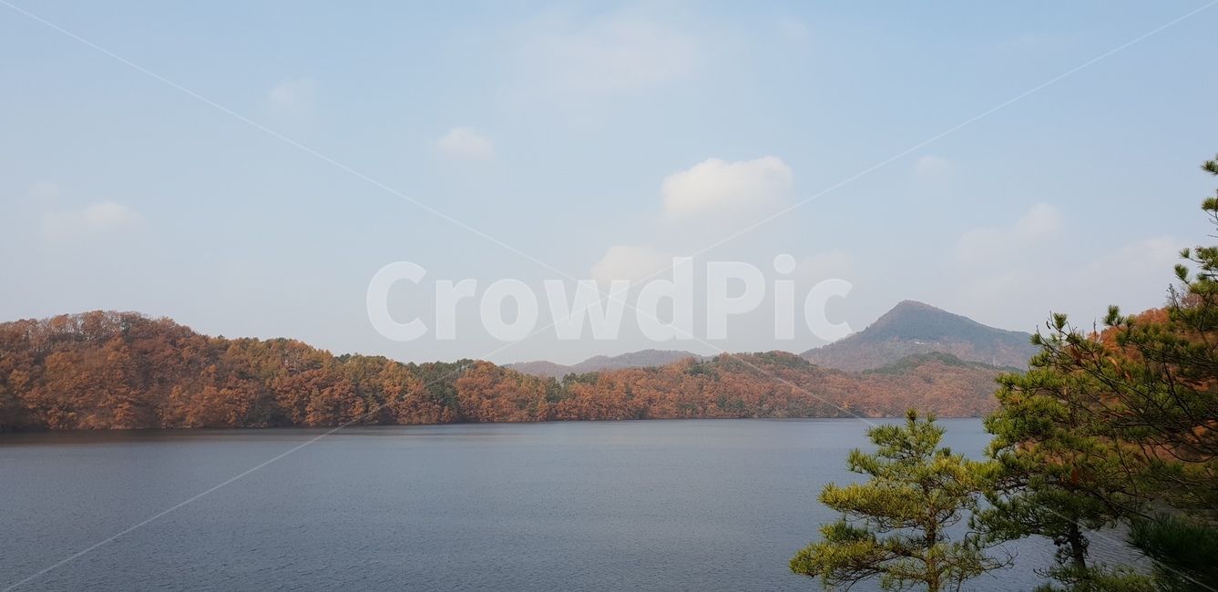 가을,호수,숲,나무,자연