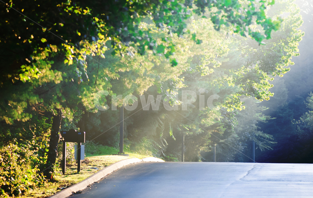 asphalt,아스팔트,road,도로,길,빛,해,자연,풍경,nature,landscape