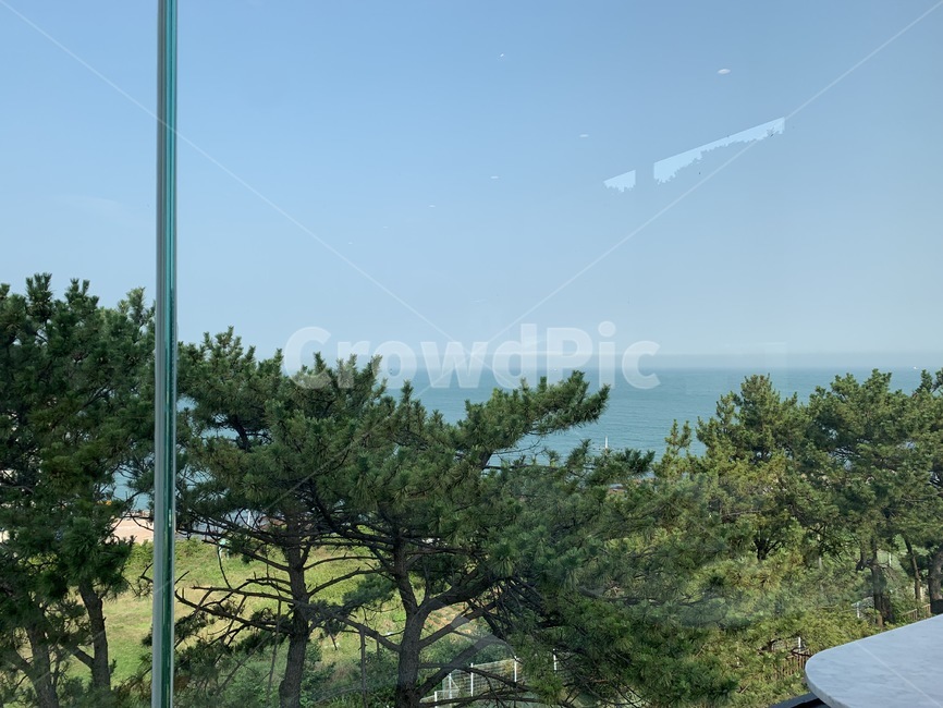 하늘,바다,나무,맑은,초록