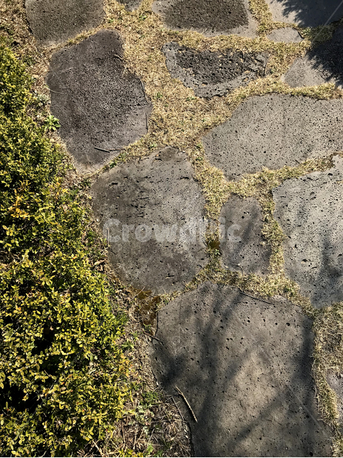 돌길,조경,산책로,봄길,landscaping,stone,walk,식물,자연,plants,nature