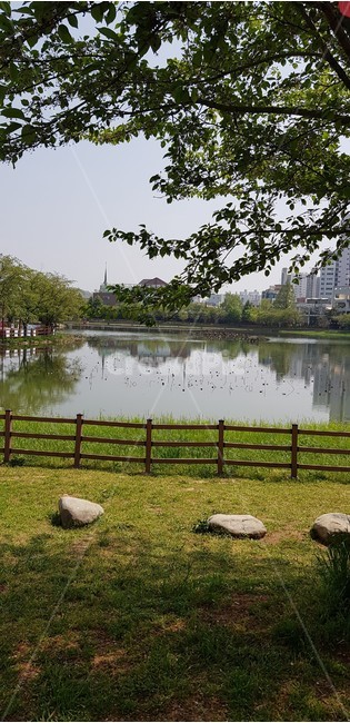 도심속자연,저수지,나무그늘,휴식,고요한물