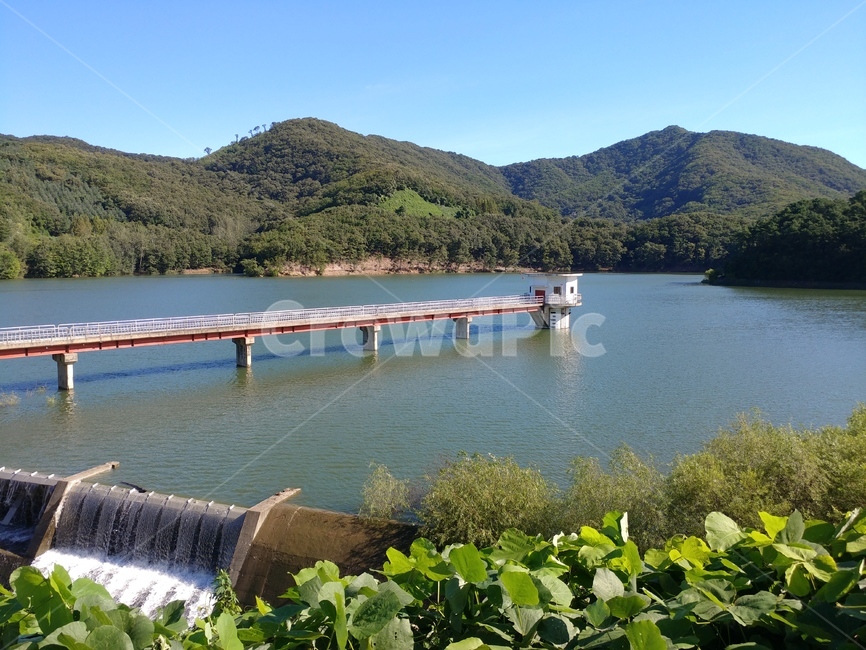 파주,마장호수,호수,명소,lake,파주명소,출렁다리,다리,touristattraction,korea,풍경