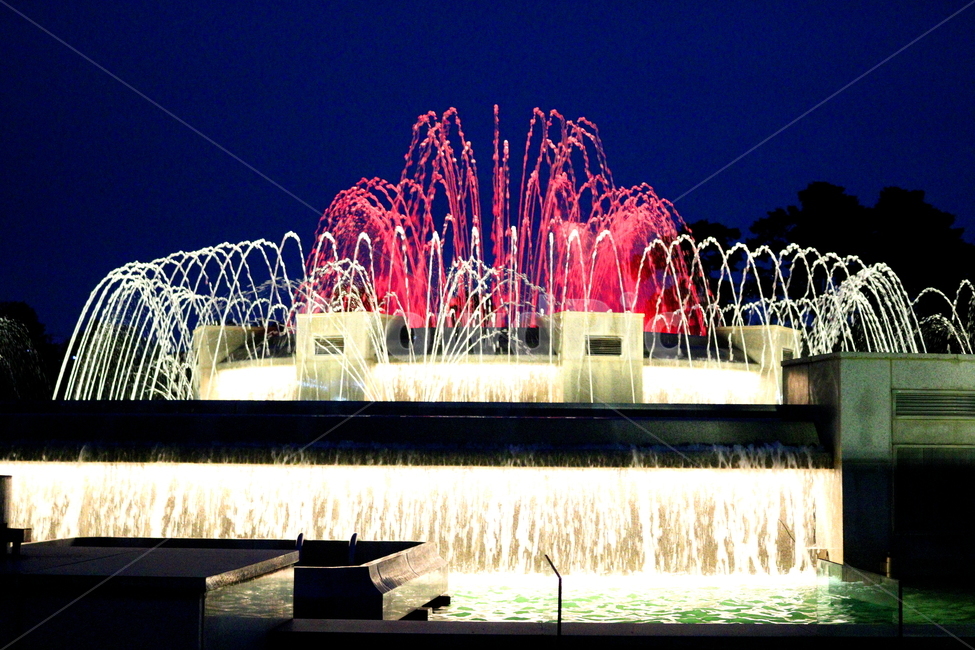 분수대,분수,물,야경,밤,풍경,빛,야경,밤,풍경,nightscape,night,landscape,water
