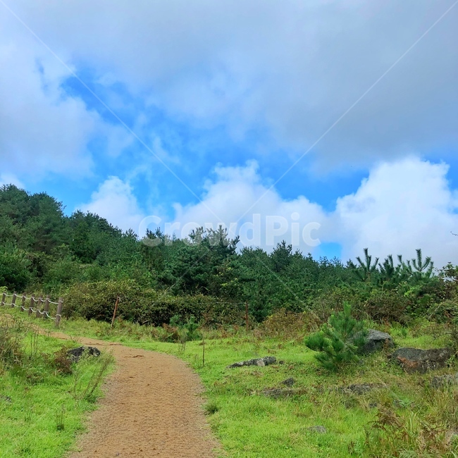 제주도,오름,구름,풍경,sky,blue,green,outdoor,자연,풍경,nature,landscape
