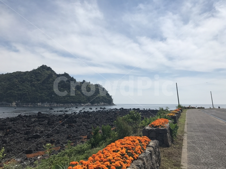 제주도,자연,무보정,섶섬,섬,바다,해안도로,자연,풍경,nature,landscape,제주도,jeju,jeju island