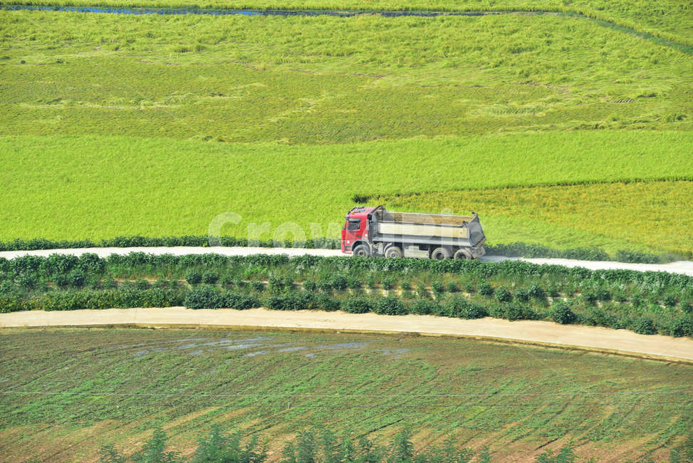 벼,벼농사,농촌,논,논농사,농로,농촌길,트럭,덤프트럭,village,rice,field,farming,truck,dumptruck,시골,마을,풍경,landscape,country,rural,town,산업,industry,industrial,농업,농사,agriculture,farming,farming industry