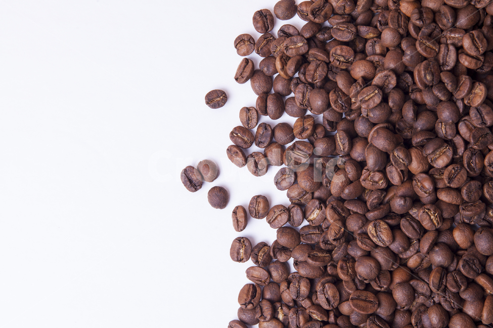 커피,커피빈,키피콩,카페,아라비카,로부스타,배경,커피,카페,coffee,cafe