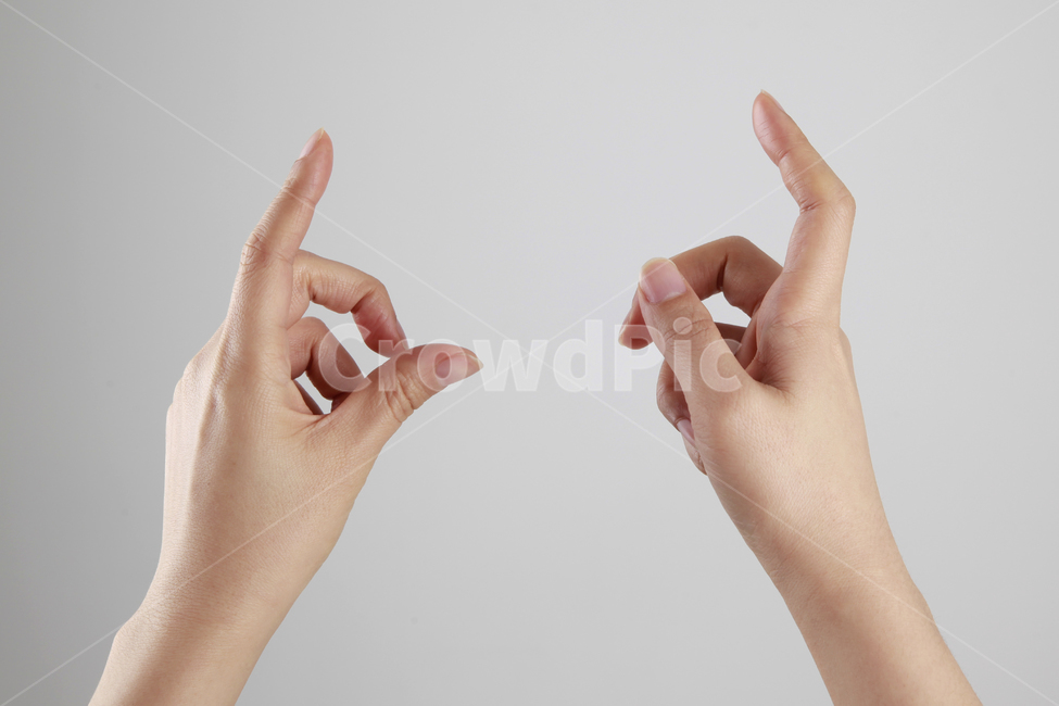손,핑거,손가락,손모양,여러가지손모양,손포즈,손가락포즈,사람,인물,인간,human,person,신체일부,몸,body,손,제스처,표시,손짓,표현,gesture,hand,sign,expression
