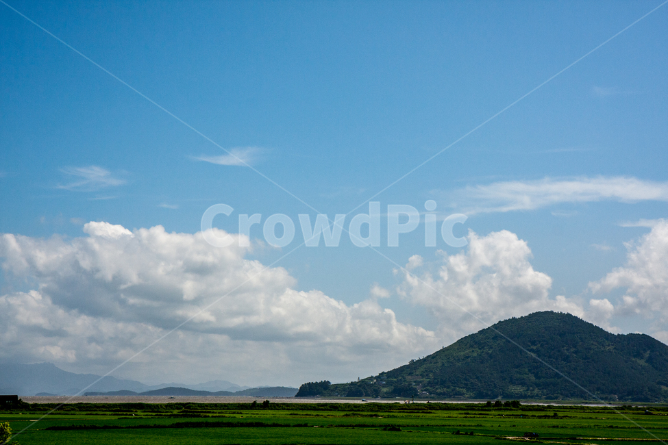 nature,자연,outdoors,옥외,field,들,grassland,목초지,전라남도,순천만,국가정원