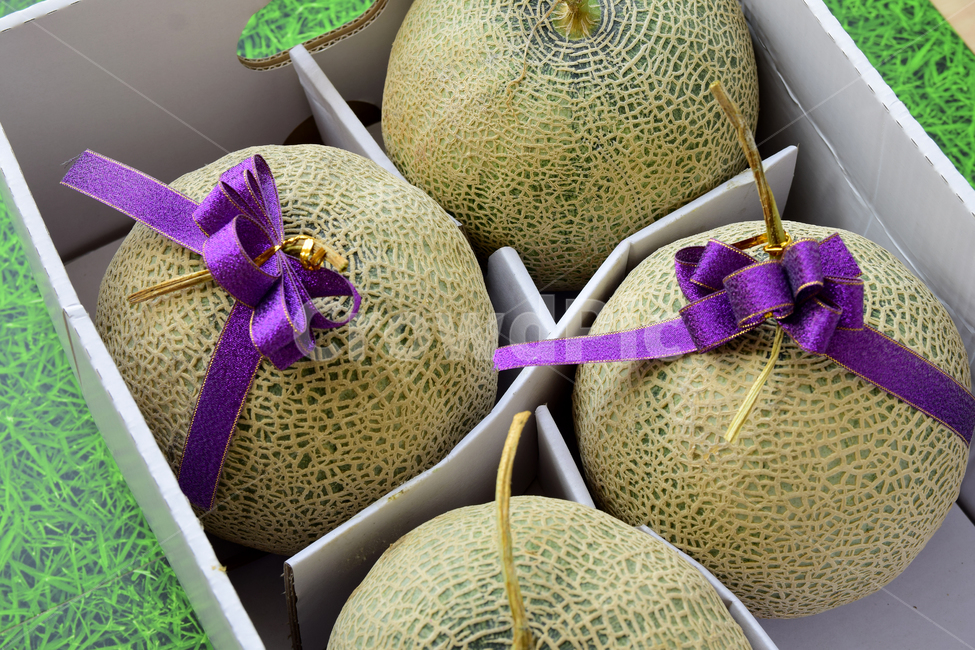 멜론,메론,과일,열매,열대과일,리본,박과,박스,melon,fruit,food,plant,ribbon,box,음식,식재료,요리,food,cook,meal,dishes,food reserves,과일,열매,fruit