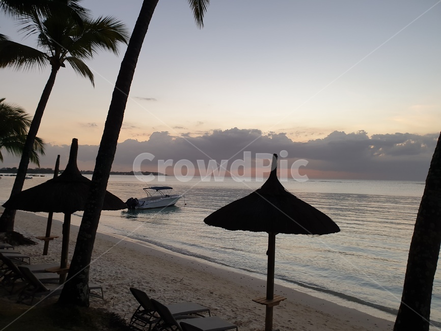 summer,여름,tree,나무,sunset,tropical,석양,해변,beach,sea,바다