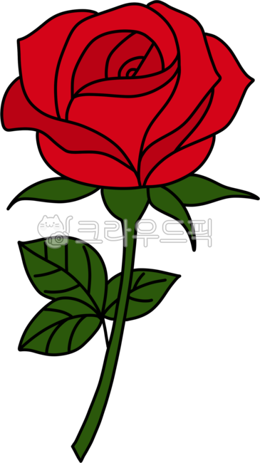 장미,레드장미,장미꽃말,꽃선물,장미향기,장미에센스,프리저브드장미,장미포장,장미화분,장미잎사귀,사랑의상징,로맨틱장미,생일장미,프로포즈장미,웨딩장미,플라워어레인지먼트,장미꽃이미지,장미그림,장미캔들