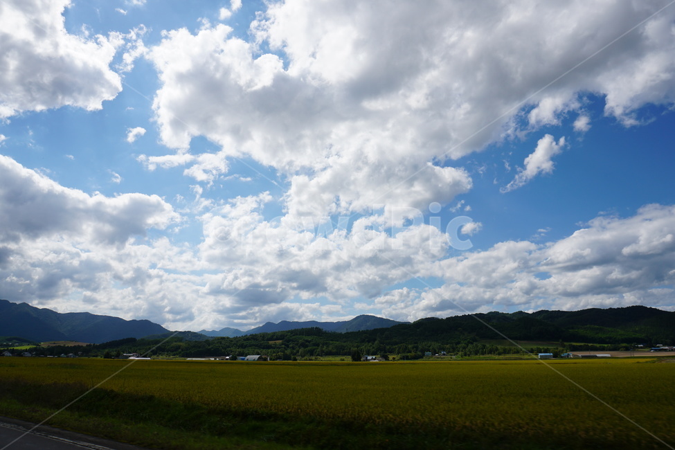 홋카이도,일본,평야,논밭,하늘,구름,sky,풍경,시골,마을,풍경,landscape,country,rural,town