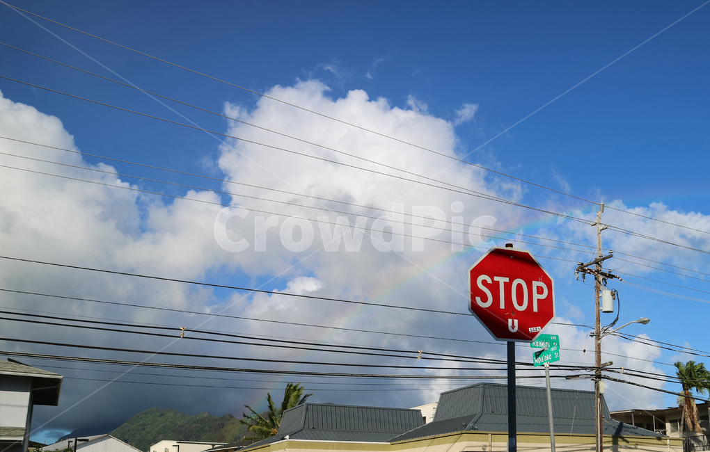 무지개,스톱,도로표지판,stop,멈춤,stopsign,rainbow,하와이,하늘,구름,전선