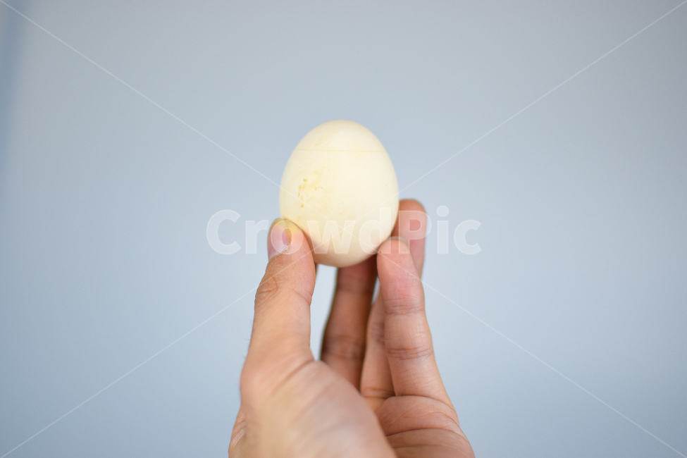 계란,부활절,손,껍질,신선,간식,배경,흰색,달걀,손가락,음식,다이어트,음식,식재료,요리,food,cook,meal,dishes,food reserves