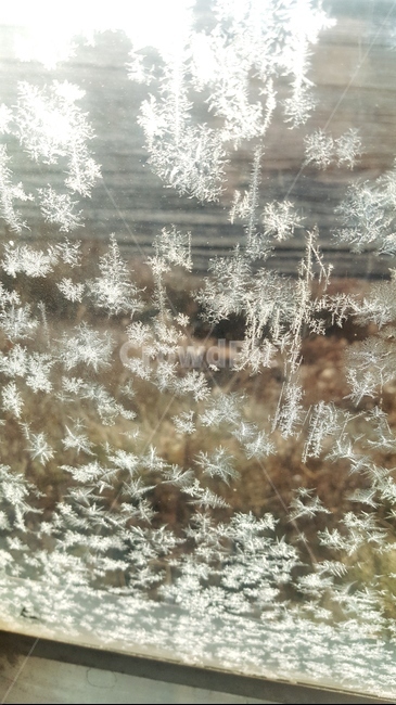 눈,결정,근접,눈꽃,눈송이,겨울,계절,winter,season