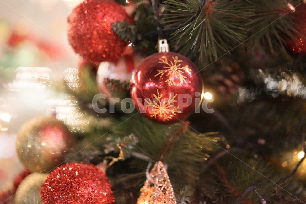 트리,크리스마스,겨울,tree,성탄절,겨울,계절,winter,season,메리크리스마스,성탄절,merry christmas