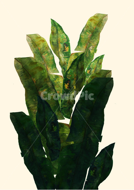leaf,잎,plant,식물,art,액자,그래픽,일러스트레이션,graphic,illustration