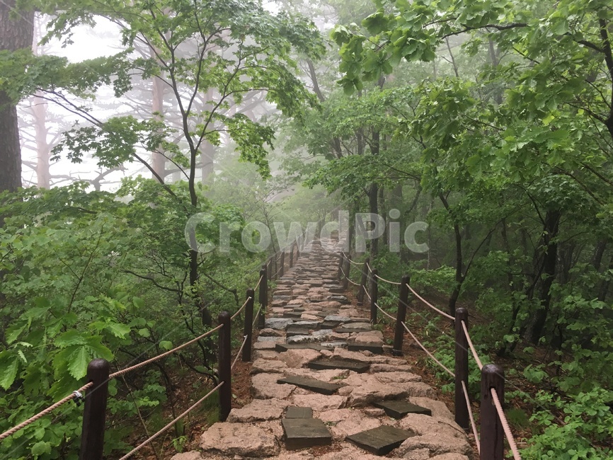walkway,등산,산책로,안개,smog,자연,풍경,nature,landscape