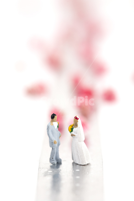 웨딩,커플,신랑,신부,꽃길,오브젝트,결혼,결혼식,웨딩마치,은빛,흰색,배경,희망,축복,실버,컨셉,미니어처,아이디어,분홍색,핑크,남녀,시작,브라이드,러브,사랑,웨딩드레스,예복,꽃,턱시도,플라워,셀프웨딩,스드메,마주보다,클로즈업,연인,커플,사랑,lover,couple,결혼,혼례,웨딩,wedding,marriage,marry,기념일,축하,anniversary,congratulation,celebrate,celebration,연출,컨셉,콘셉,direction,concept