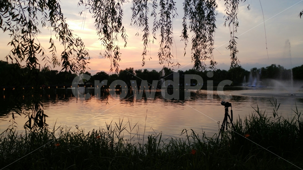 부여,궁남지,일몰,노을,반영,스마트폰,G5,카메라,picture,view,자연,풍경,nature,landscape,한국자연풍경,한국자연경관,korea nature landscape,water,물,outdoors,옥외,land,땅