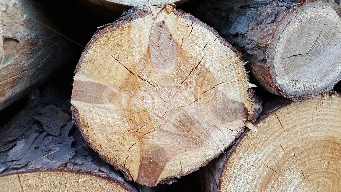 장작,장작더미,나무,쌓아놓은나무,나무결,나이테,wood,tree,원목,참나무