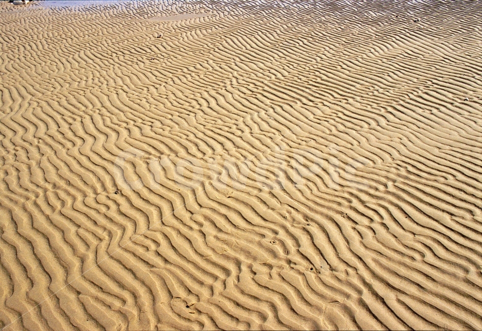 바닷가,모래밭,백사장,흔적,패턴,해안,해수욕장,서해안,sns,sand,seaside,ebook,pattern,texture,바다,여름,파문,바탕,백그라운드,시안,디자인,콘텐츠,텍스쳐,모바일,웹,전단,마케팅,라인,background,텍스타일,자연,무늬,추상,형상,굴곡,색감,컨셉,컨셉트,콘셉,콘셉트,개념,생각,감성,느낌,필,feel,분위기,네추럴,natural,summer,자연,풍경,nature,landscape,해변,바다,beach,sea,텍스처,질감,패턴,texture,pattern,soil,흙,outdoors,옥외,모래,dune,모래 언덕
