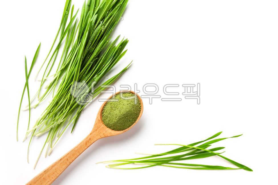 음식,새싹보리,다이어트,디톡스,푸드,슈퍼푸드,그린,초록,새싹,가루,분말,배경,생태,항산화,항산화식품,다발,요리,식단,에너지,식품,신선한,풀,녹색,건강,면역,성분,라이프스타일,비건,자연,영양,식물,보충제,채식주의자,비타민,밀,요리법,보리싹,건강한,레시피,유기농,에코,채식,스푼,숟가락,나무스푼,plant