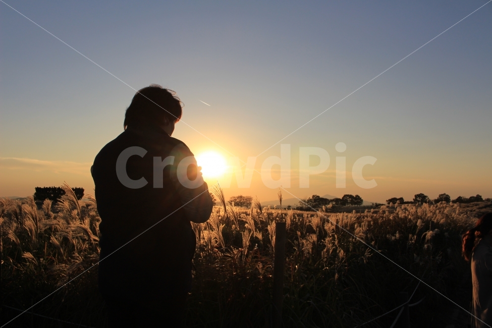 억새풀,가을,석양,여행,억새,하늘공원,색감,자연,하늘,풍경,자연,풍경,nature,landscape,가을,계절,fall,autumn,season,사람,인물,인간,human,person,light,빛,flare,플레어,sunlight,햇빛