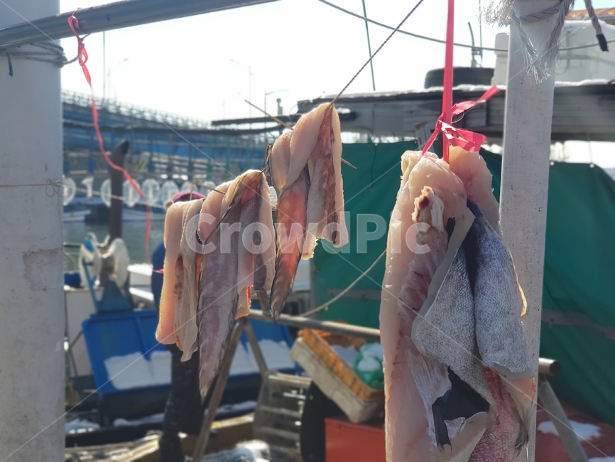 말린생선,생선,포,fish,어업,바닷가,바다,고기잡이,생선잡이