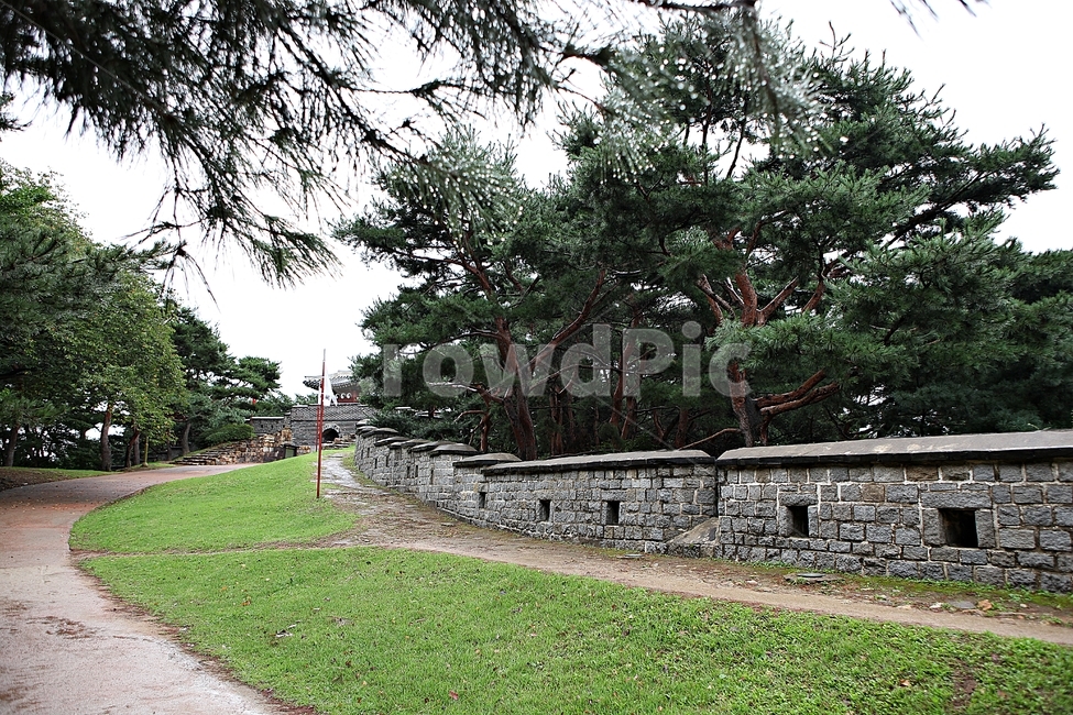 수원화성,서,성곽,길,둘레길,돌담,담,가을,자연,풍경,벽,방어벽,전통,흙담,식물,한국전통,한국문화,korean traditional,korean culture,건축물,건물외관,exterior,building,structure,architecture,construction
