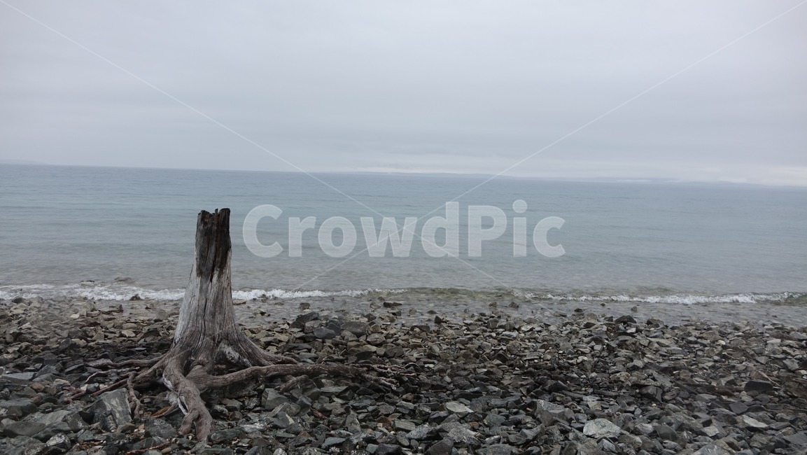 nature,lake,호수,자연,홉스굴,water,물,고목,자갈,wood,나무,해안선,몽골,몽고,MONGOLIA