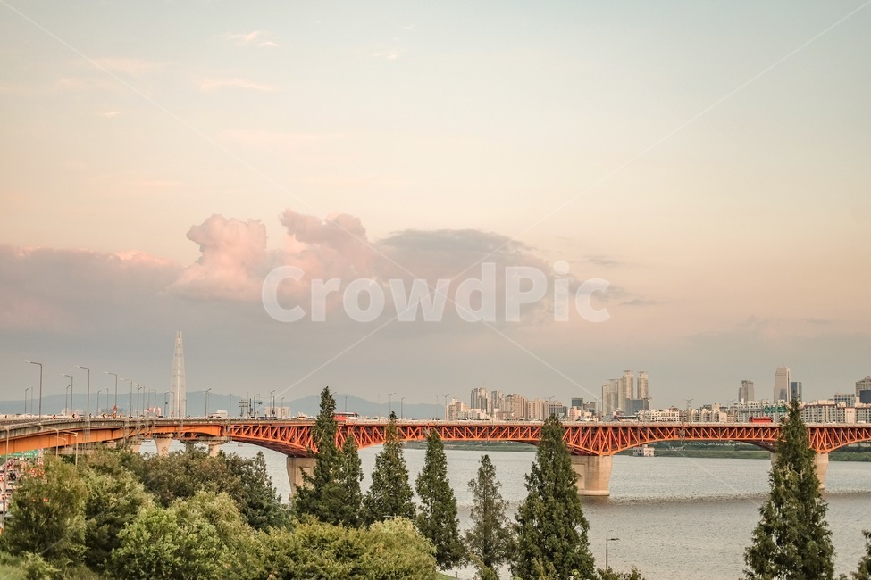 나무,다리,도시,bridge,한강,도시,풍경,city,landscape,한국도시풍경,한국도시경관,korea cityscape