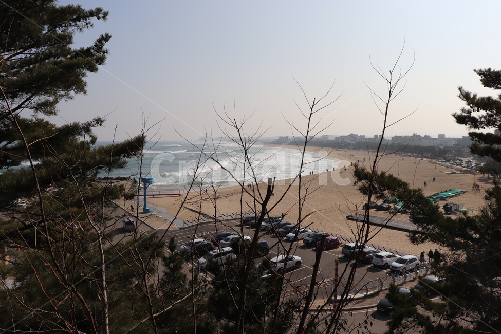 soil,흙,nature,자연,outdoors,모래언덕,dune,모래,sand,옥외,바다,하늘,sky,ocean,sea,나무,tree,beach,해변,풍경