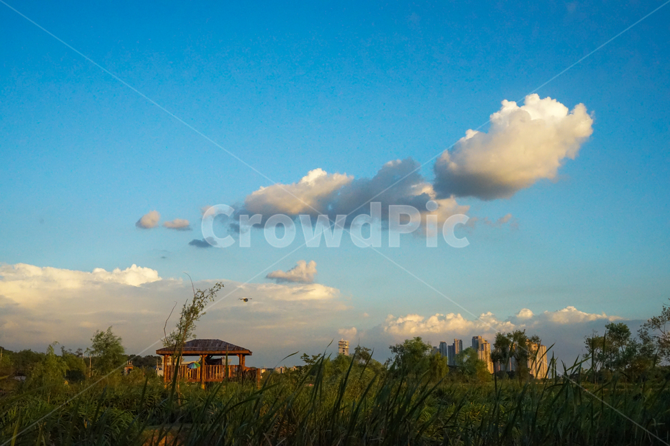 공원,정자,산책로,수변,하늘,구름,나무,풍경,자연,풍경,nature,landscape,outdoors,옥외,weather,날씨,cloud,sky,cumulus,적운