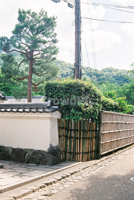 일본,일본감성,필름카메라,필름사진,여름,garden,정원,arbour,정자,식물,plant,옥외,outdoors,교토,kyoto,대나무,일본가옥