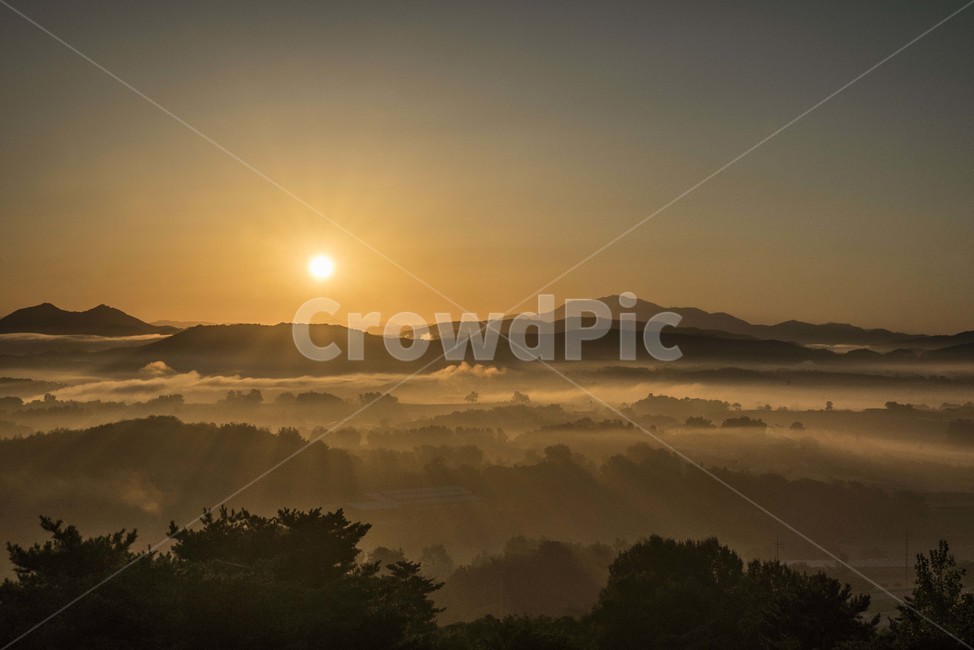 풍경,일출,여명,안개,밀재,자연,풍경,nature,landscape,flare,플레어,light,빛,outdoors,옥외