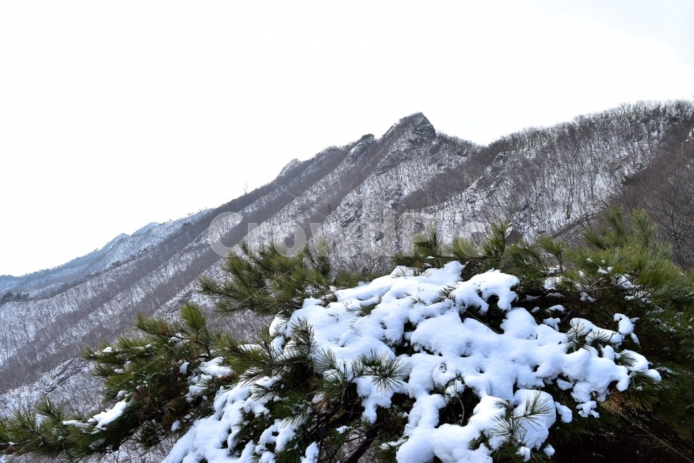 계룡산,국립공원,겨울,풍경,설경,산행,Korea,Nationa,Park,눈풍경,눈,자연,스포츠,등산,nature,snow,느낌,아름다운,신비로운,경이로운,다큐,필,힐링,명산landscape,winter,season,자연성릉,암릉,능선,비경,겨울,계절,winter,season,자연,풍경,nature,landscape,한국자연풍경,한국자연경관,korea nature landscape,plant,식물,tree,나무,abies,아비,fir,전나무,mountain,산,outdoors,옥외,mountain range,산맥