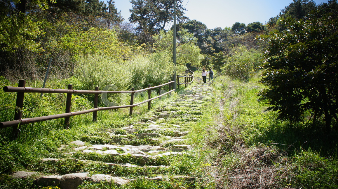 돌계단,계단,자연,풍경,여유,stair,nature
